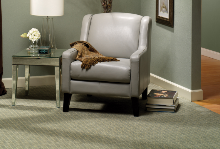 Carpeting and hardwood in living room setting